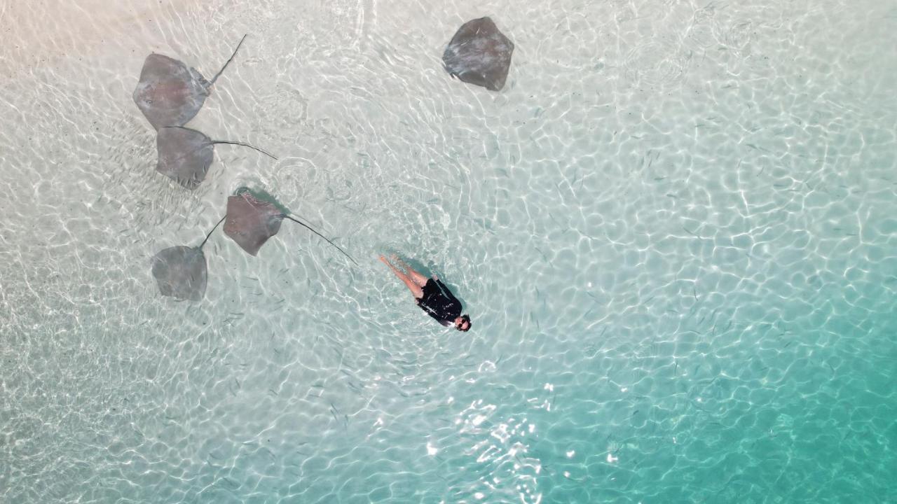 Pelican Beach Maafushi Exterior photo